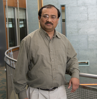 Indraneel Kumar